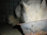 DSCN5536.JPG
