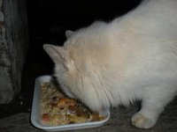 DSCN5539.JPG