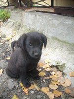 20121115153630_DSCN3722.JPG