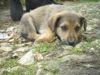 20121115155209_DSCN3735.JPG