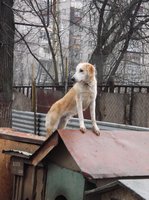 DSCF2919.JPG