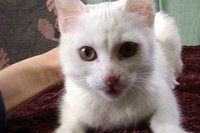 DSC00815.JPG