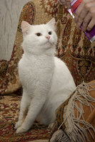 IMG_6766_.jpg