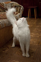 IMG_6774.jpg
