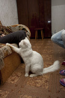 IMG_6781.jpg