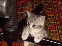 DSC03852.JPG