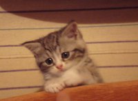 DSC03869.JPG