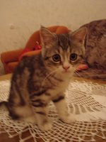 DSC03923.JPG