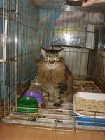 Мотя 3.jpg