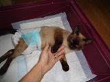 DSC00316.JPG