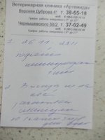 Терапевт нач.jpg