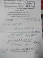 Офтальмолог нач.jpg