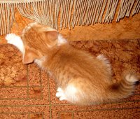 IMG_0843.JPG