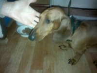 20092011078.jpeg