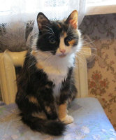 20121126010626_marqo.jpg