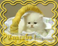 0_788f3_6a77b76a_XL.gif