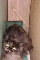 DSC00833.JPG