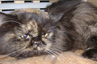DSC00839.JPG