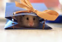 merry-christmas-hamster.jpg