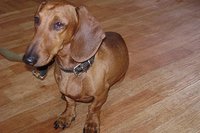 DSC00850.JPG