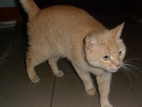 SAM_1401.JPG