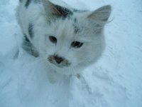 DSC04615.JPG