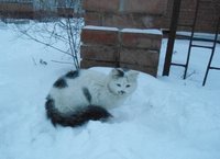 DSC04613.JPG