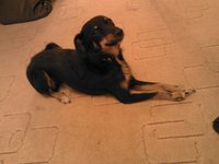 IMG_20121127_194153.jpg