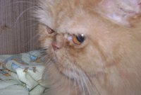 DSC00856.JPG