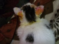 04.jpg