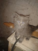 2012-12-07 19.17.10.jpg