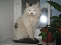IMG_0052.JPG
