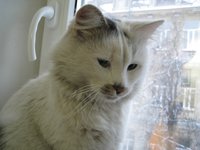 IMG_0061.JPG