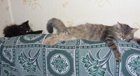 SDC14060.JPG