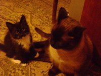DSC06651.JPG
