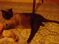 DSC06654.JPG