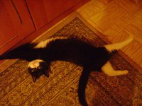 DSC06720.JPG