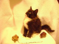 DSC06690.JPG