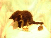 DSC06693.JPG