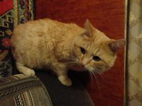 DSC01196.JPG