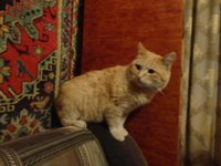 DSC01200.JPG