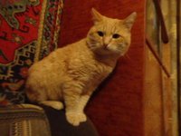 DSC01205.JPG