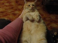 DSC01208.JPG