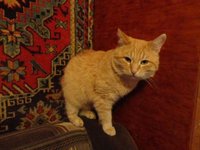 DSC01210.JPG