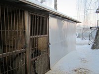 IMG_4725.JPG