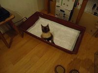 DSC00319.JPG