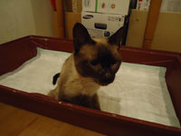 DSC00321.JPG