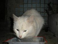 DSCN5534.JPG