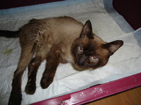 DSC00344.JPG
