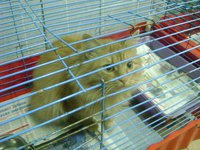 DSC06755.JPG
